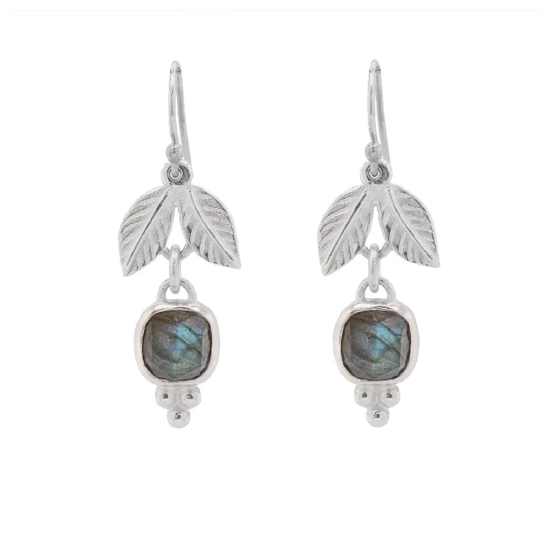 women's matching earrings sets-Adam & Eve silver earrings