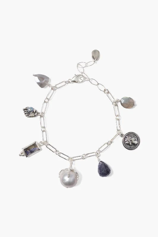 women's personalized bracelets-Lark Charm Bracelet Silver Mix